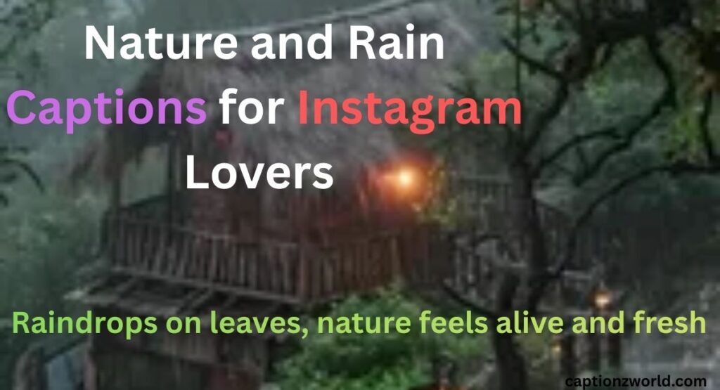 Nature and Rain Captions for Instagram Lovers