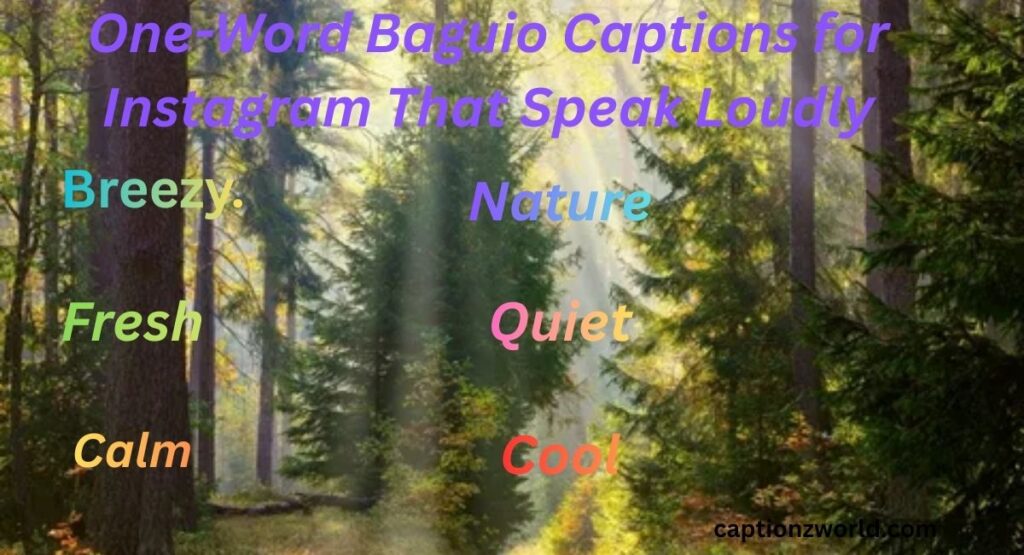 One-Word Baguio Captions for Instagram That Speak Loudly